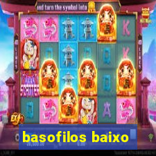 basofilos baixo